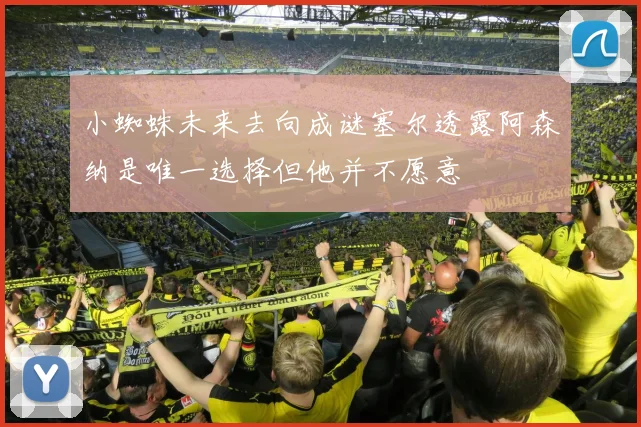 小蜘蛛未来去向成谜塞尔透露阿森纳是唯一选择但他并不愿意